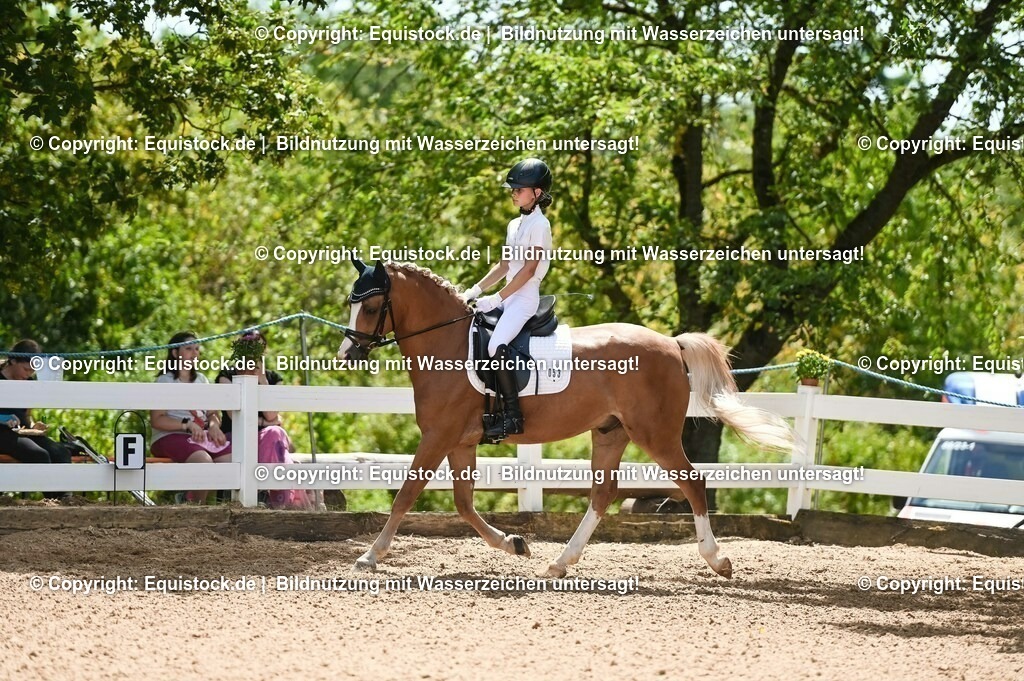 20230715_09_Dressur-WB_0272 | equistock