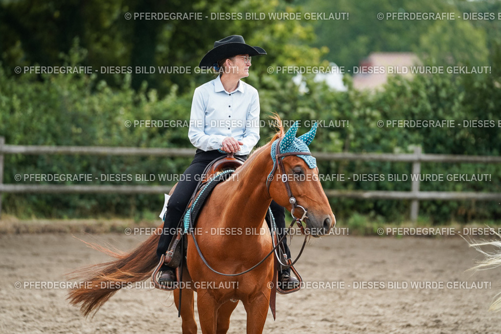 DSC04058 | Pferdegrafie