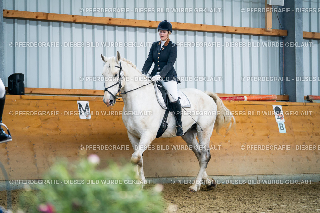 DSC05671 | Pferdegrafie