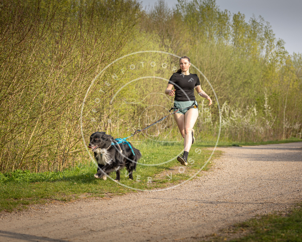 Pfotenfotografie_DV3A4657 | Hundefotografie, Tierfotograf, Pfotenfotografie, Fotoshooting Hund, Hunde Portrait, Hundesport, Hundeportraits, Heideshooting, Hunde, Sportfotograf, Hundefotograf, Turnierhundsport, THS,  - Realisiert mit Pictrs.com