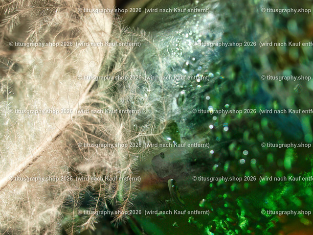 titusgraphy_P3105388-vz-ln | titusgraphy-shop: Geschenkideen mit Qualitätsfotos. titusgraphy-shop: gift ideas with quality photos. titusgraphy-shop: idées cadeaux avec photos de qualité.  - Realisiert mit Pictrs.com