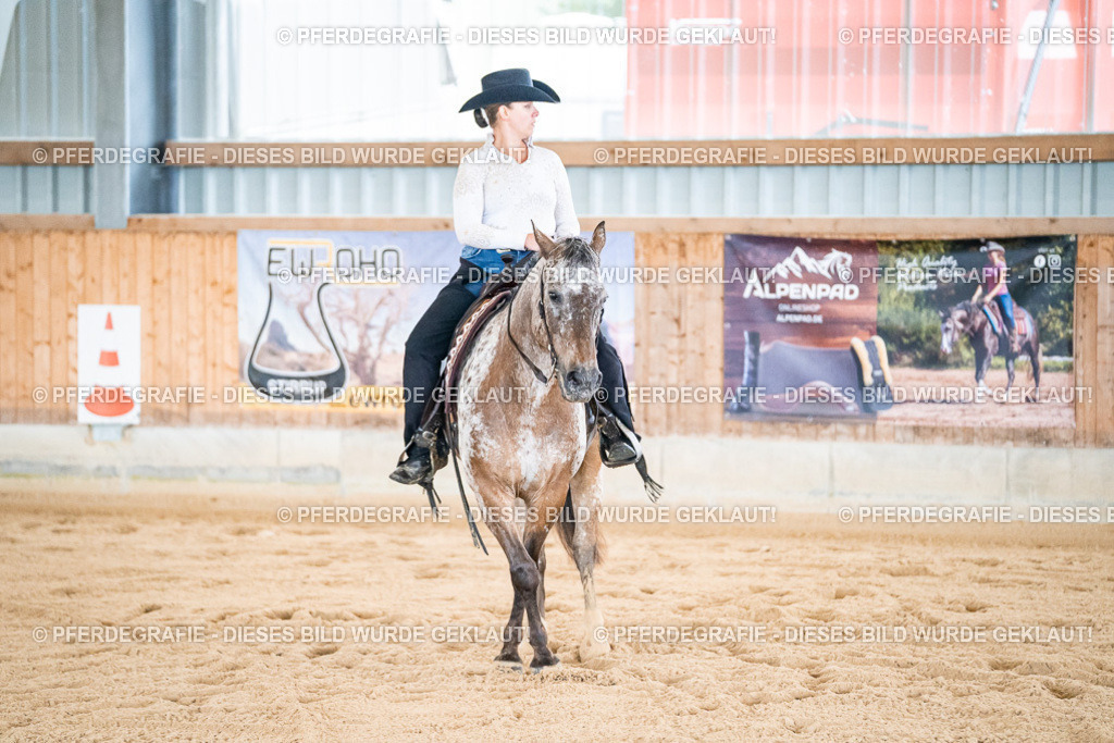 DSC01802 | Pferdegrafie