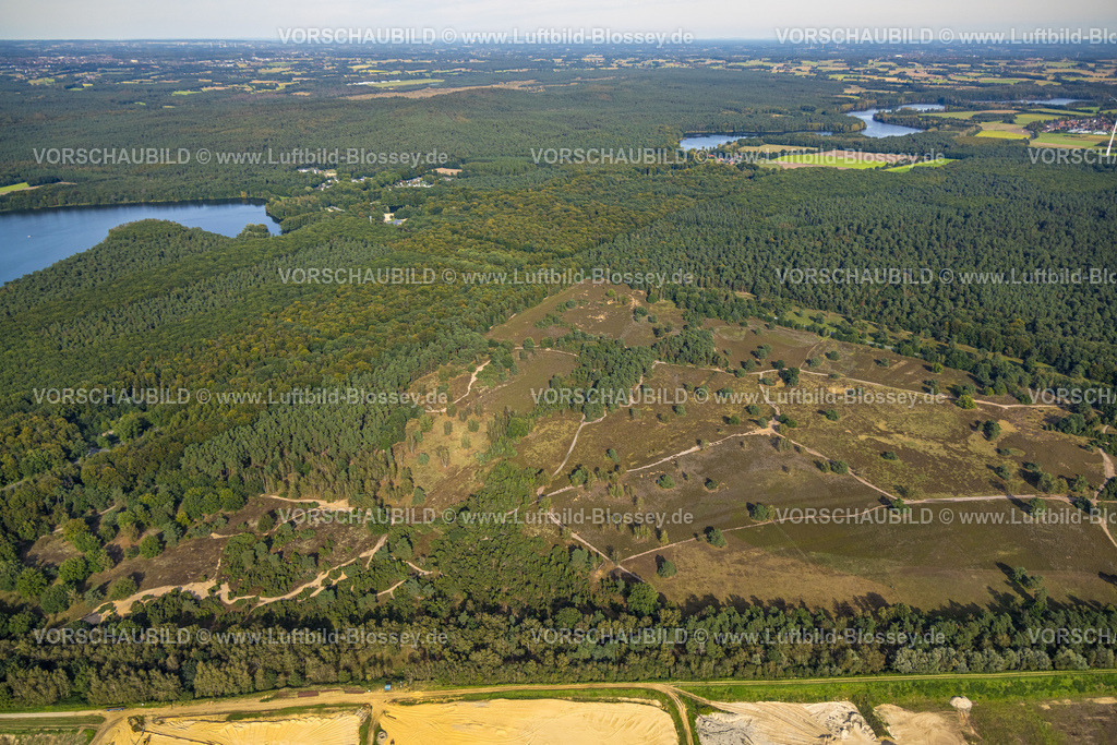 Haltern230905859 | Luftbild, Waldschäden Westruper Heide, Stockwiese, Haltern am See, Ruhrgebiet Münsterland, Nordrhein-Westfalen, Deutschland