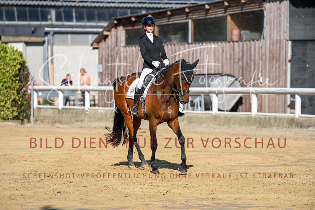 Schugtsche-Aluta25-51.Dressurpferdeprf.M-51 | Schugtsche Fotografie - Realisiert mit Pictrs.com