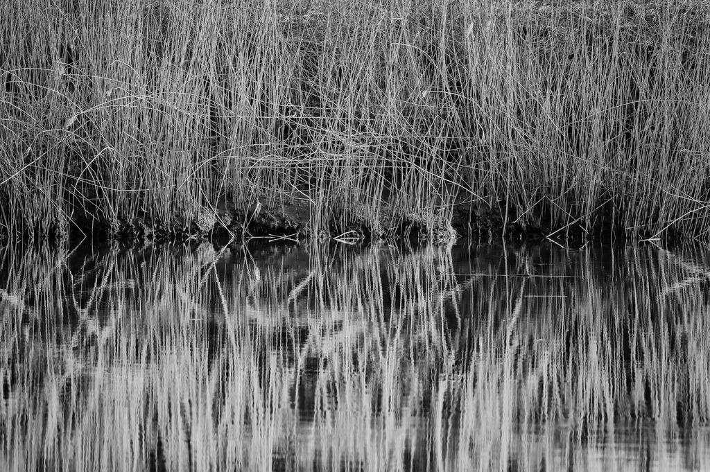 2025_03_06_HASELDORF HAFEN_MCP6250 sw | Hochwertig gedruckte Fotografien für die Wand, als Kalender und zum Verschenken. Hamburg & Norddeutschland und überall wo ich mit der Kamera unterwegs war.