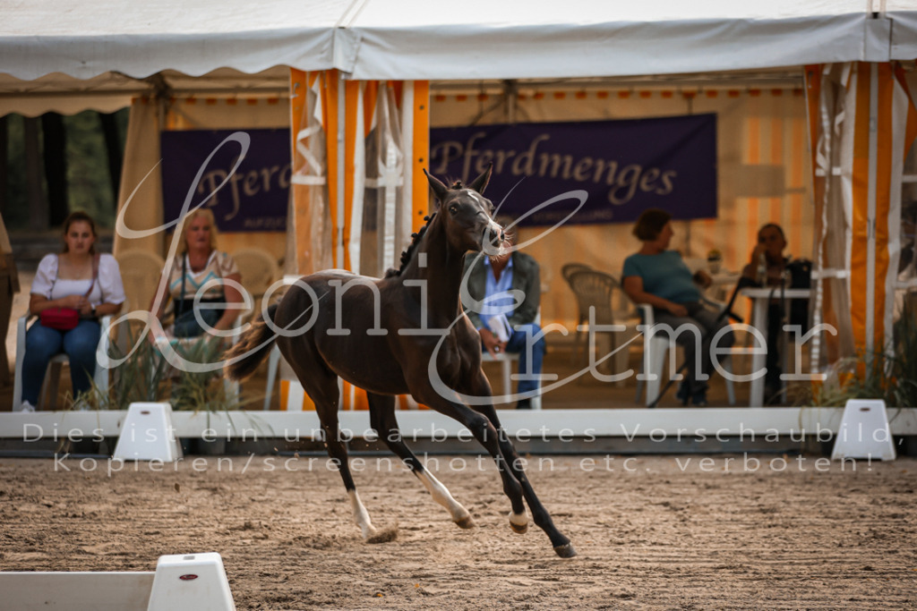 10.DoRP00083 | Leoni Ertmer Photography - Realisiert mit Pictrs.com