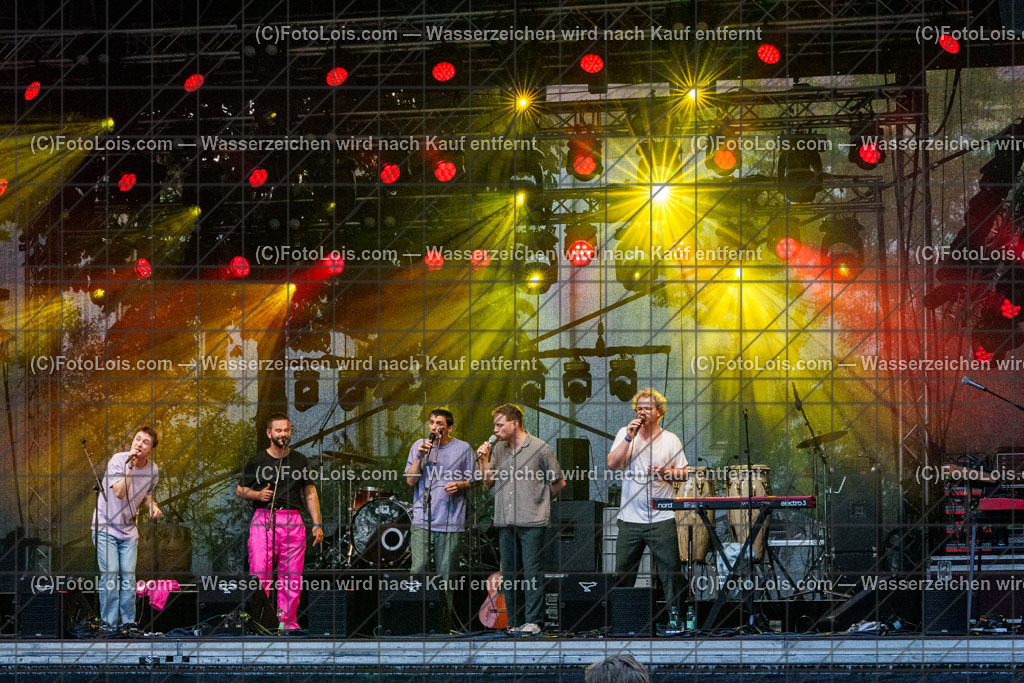 ALP8987_Hiesige-Dosige_Kulturpark | Festival HIESIGE 6 DOSIGE am 8. August 2025