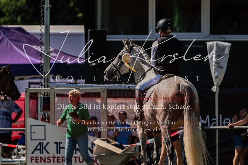 DSC_2577 | Pferde- und Turnierfotografie in Westsachsen. Pferdeportraits, Auftragszeichnungen und intuitive Kunst.