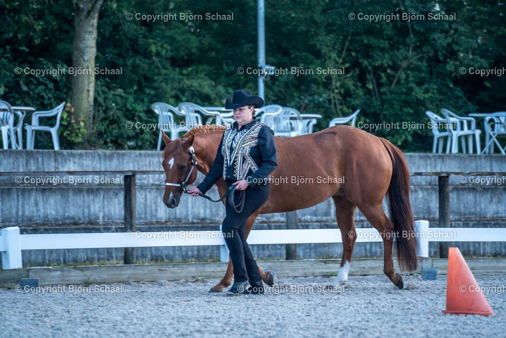 HOB07606 | BS-foto