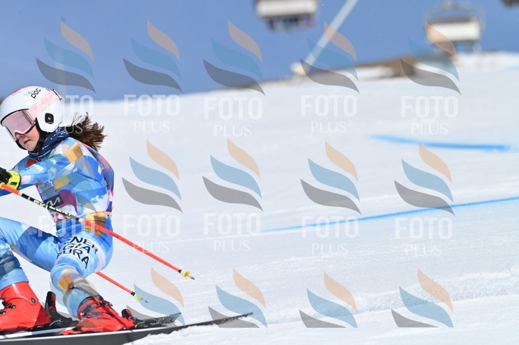 BGV_8912 | holidayphoto