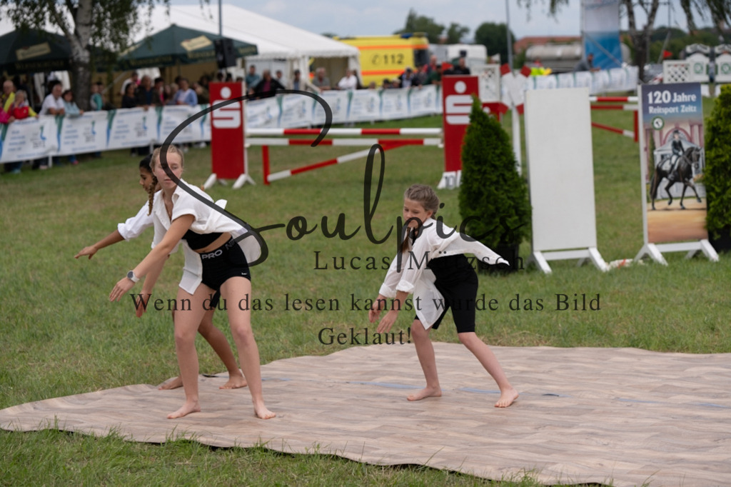 A7V05806 | Pferdefotograf