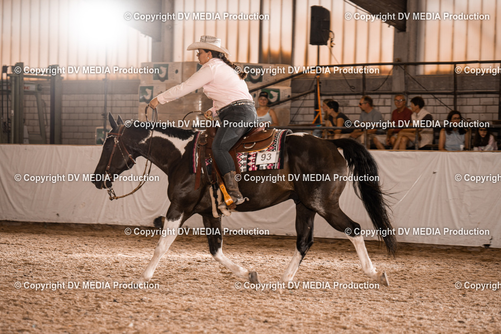 ZH300482 | dv-media-shop - Realisiert mit Pictrs.com