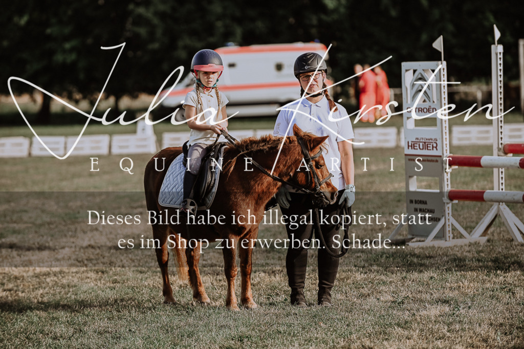 DSC_0128 | Pferde- und Turnierfotografie in Westsachsen. Pferdeportraits, Auftragszeichnungen und intuitive Kunst.