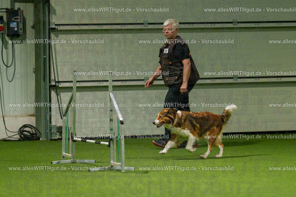 7R508805 | Professionelle Tierfotografie in Mönchengladbach von Daniel Wirth (allesWIRTHgut). Liebevolle & natürliche Bilder von Hunden & Katzen für unvergessliche Erinnerungen.