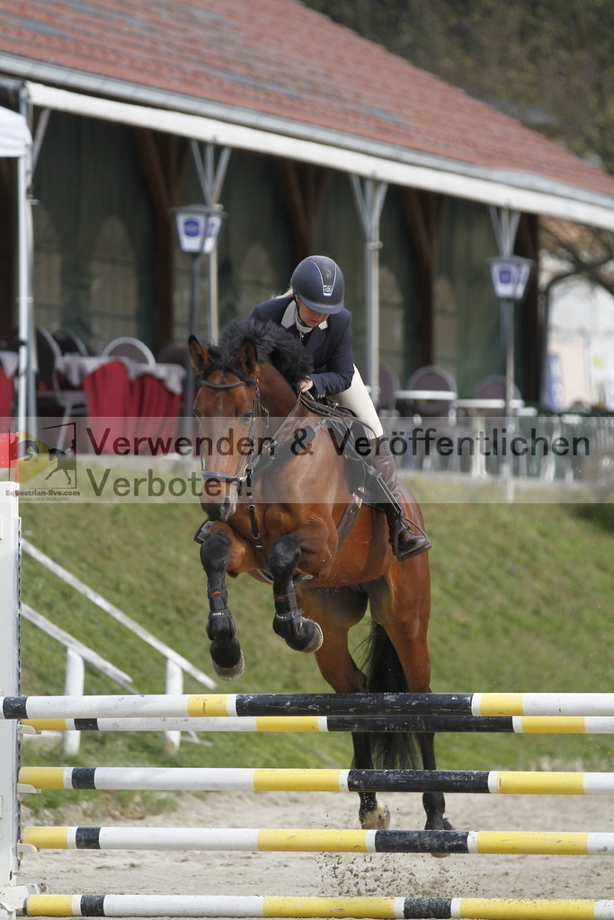 _MG_0646 | equestrian-live-com