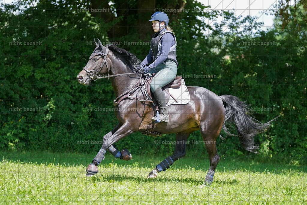 20240622-FAH06773 | Turnierfotografen Bayern, Reitsportbilder aus dem Geländekurs mit Felix Etzel auf dem Gut Waitzacker 2024