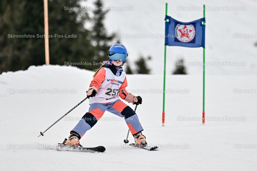 SRS_06.02.2026_0149 | SRS_06.02.2026_0149 - Realisiert mit Pictrs.com