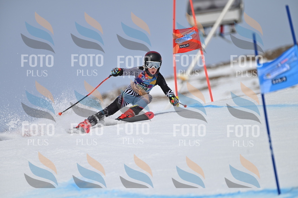 BGV_4633 | holidayphoto