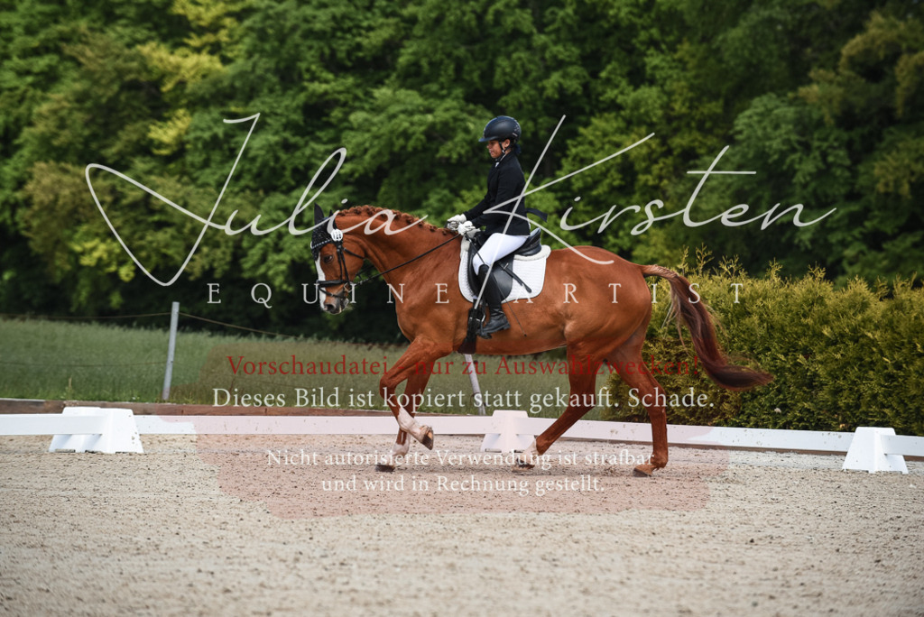 20230518_JK-Röhrsdorf-12-0112 | Pferde- und Turnierfotografie in Westsachsen. Pferdeportraits, Auftragszeichnungen und intuitive Kunst.