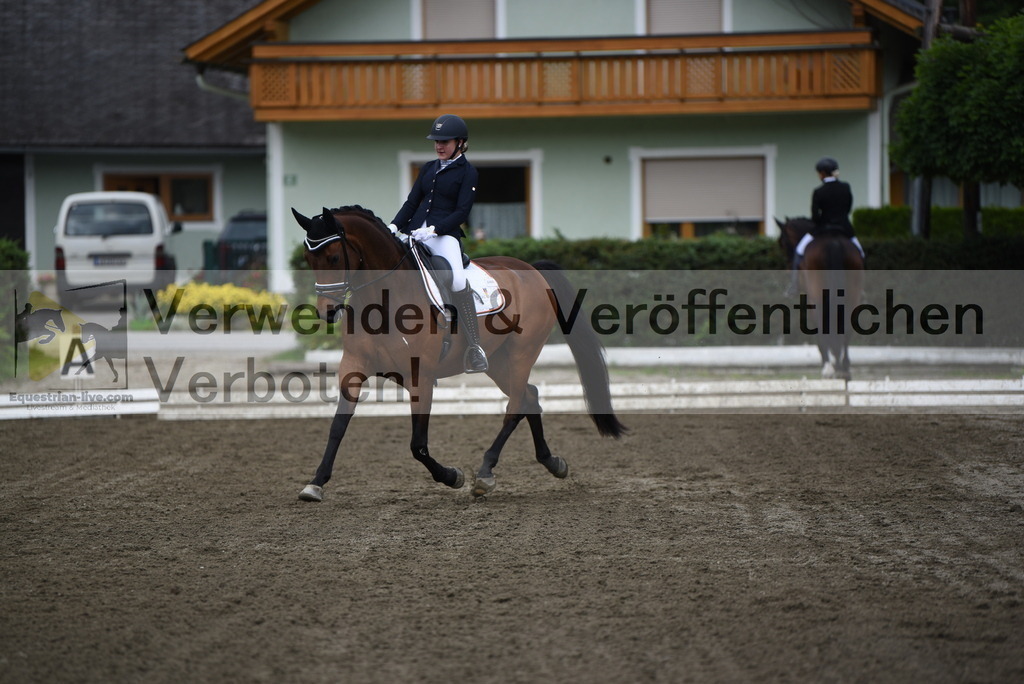 DSC_4261 | equestrian-live-com
