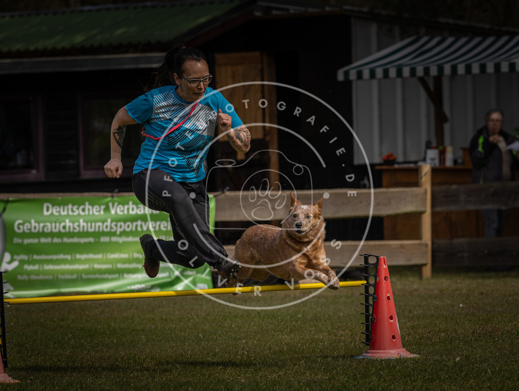 Pfotenfotografie_DV3A3901 | Hundefotografie, Tierfotograf, Pfotenfotografie, Fotoshooting Hund, Hunde Portrait, Hundesport, Hundeportraits, Heideshooting, Hunde, Sportfotograf, Hundefotograf, Turnierhundsport, THS,  - Realisiert mit Pictrs.com