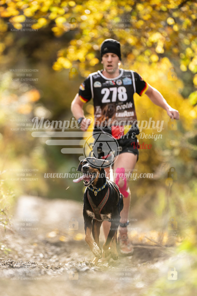 MompixPhotography_ICF_WC_2024_SA_Run_-120 | PayLife
