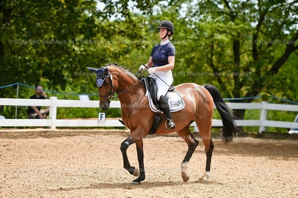 20230715_05_Dressurprüfung Kl.A++_0063 | equistock
