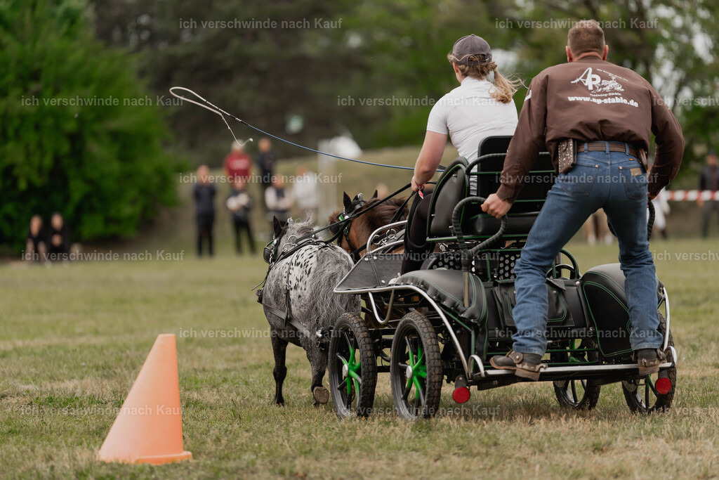 Showprogramm-494 | working equitationturnier fotograf videograf stoibphotography marixx film working equitation deutschland reitsport turnierfotografie eventfotografie equestrian events