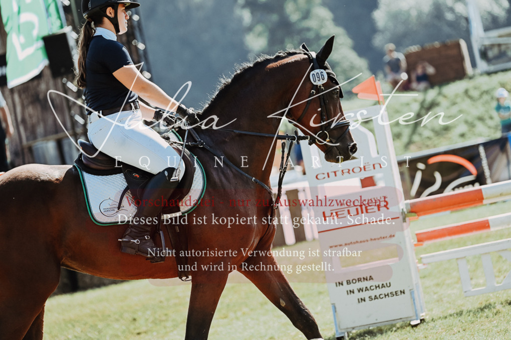 DSC_5698 | Pferde- und Turnierfotografie in Westsachsen. Pferdeportraits, Auftragszeichnungen und intuitive Kunst.