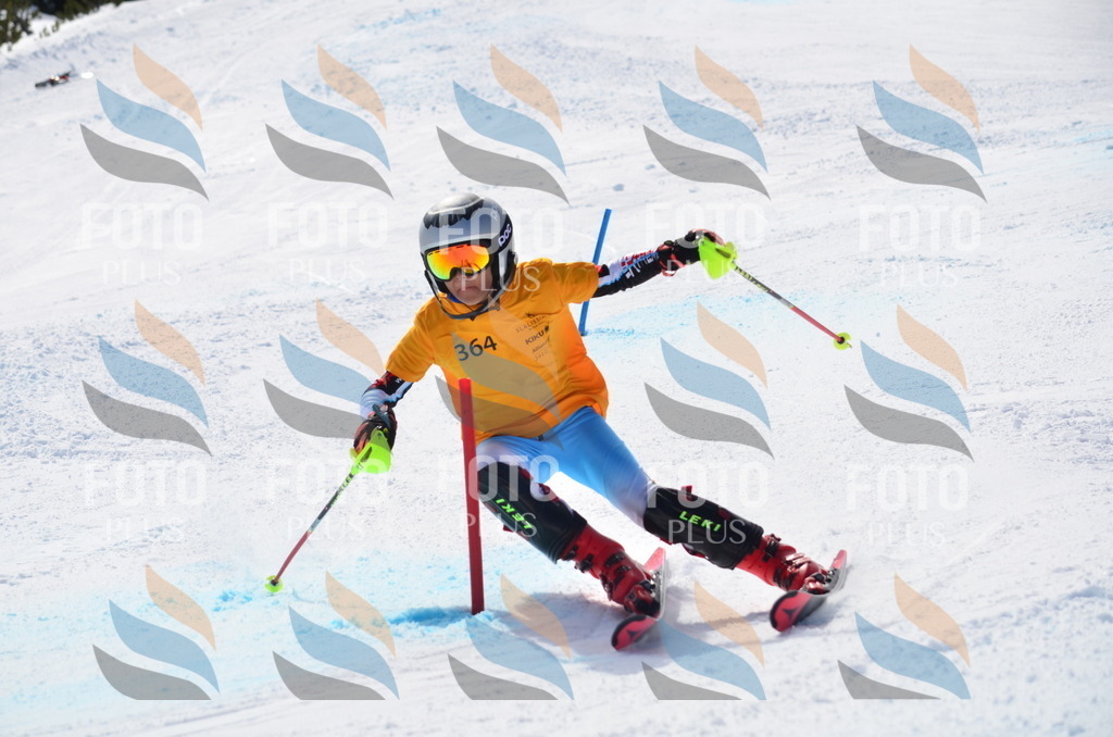 C9870 | holidayphoto