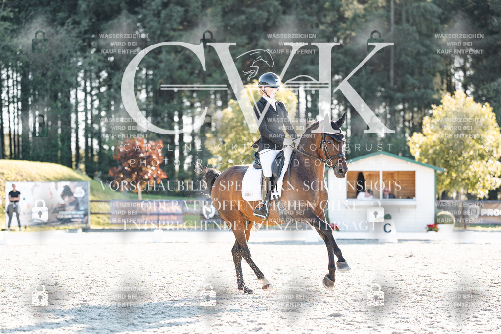 CK907094 | Turnierfotografie Pferdefotografie Trier Rheinland-Pfalz Pferdesport Reitsport Tierfotografie Sportfotografie Pferdevideo Pferdevideografie Equestrianvideography equestrianphotography  - Realisiert mit Pictrs.com