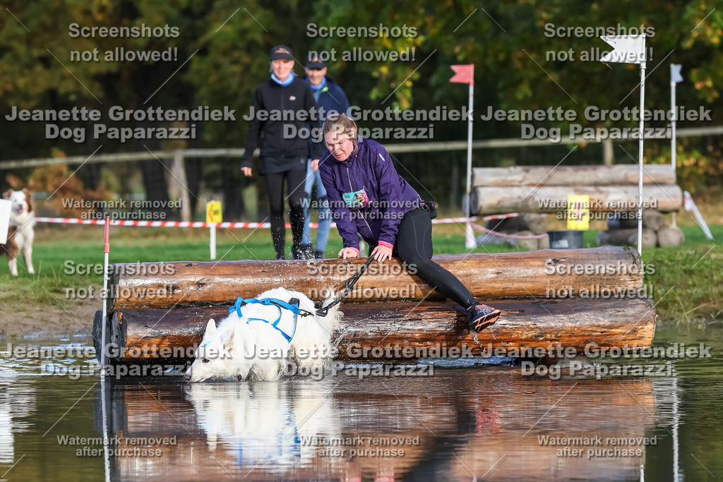 Dog Paparazzi - Strongdog 10-25-7034 | Dog Paparazzi Jeanette Grottendiek Fotografie & Videografie - Realisiert mit Pictrs.com
