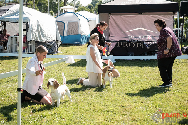 CACIB Aarau | CACIB Aarau, Swiss Dog Show  28062025 Foto: Leo Wyden