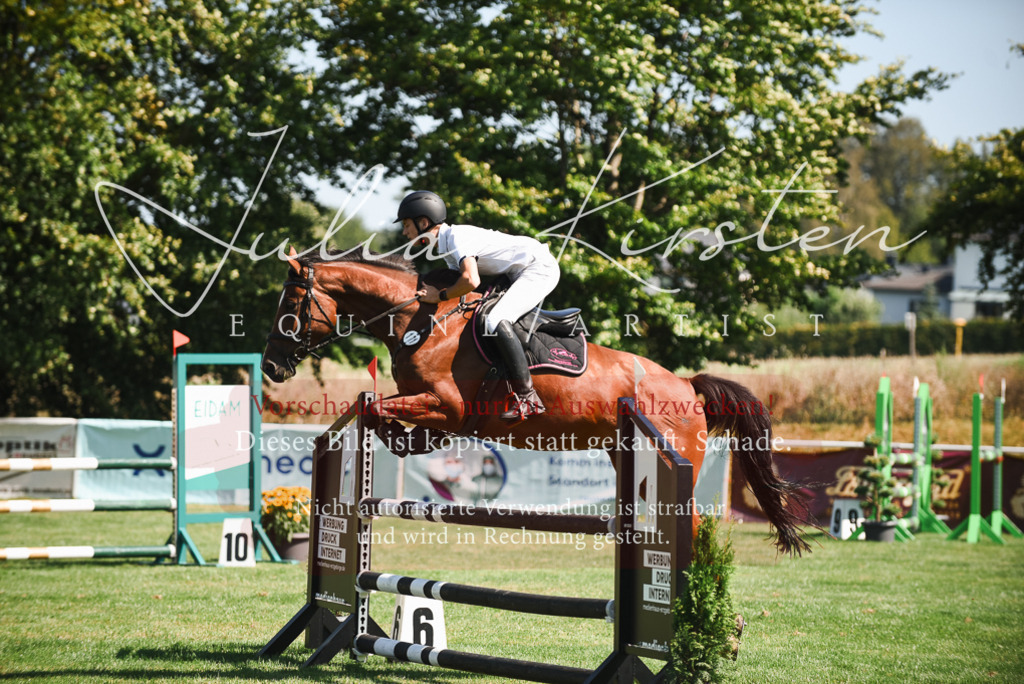 DSC_2816 | Pferde- und Turnierfotografie in Westsachsen. Pferdeportraits, Auftragszeichnungen und intuitive Kunst.