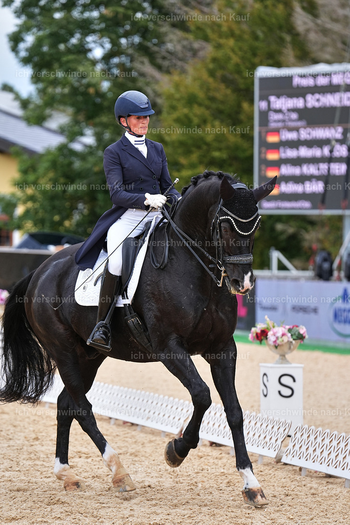 11-042-Dressur S___-Marixx-1676 | working equitationturnier fotograf videograf stoibphotography marixx film working equitation deutschland reitsport turnierfotografie eventfotografie equestrian events