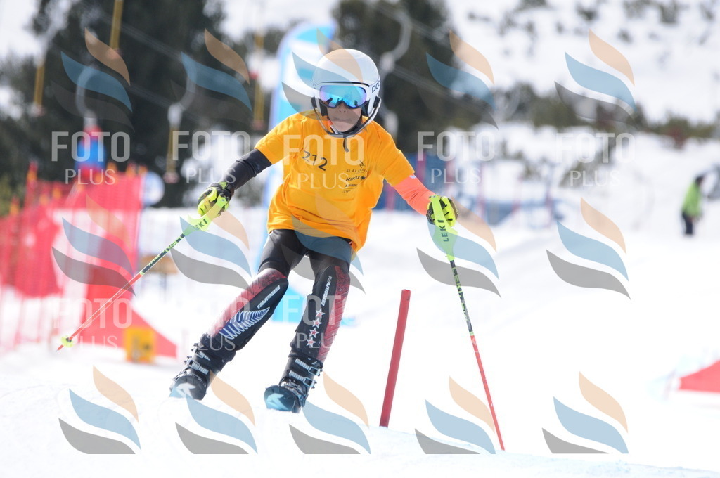 C7575 | holidayphoto