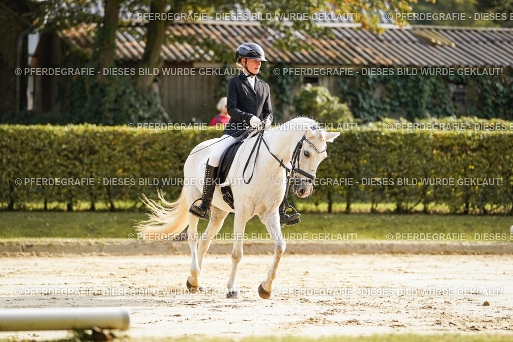 DSC05512 | Pferdegrafie