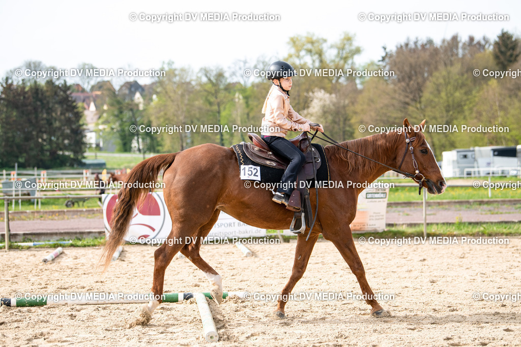 Heiligenwald Tag 2-419 | dv-media-shop - Realisiert mit Pictrs.com