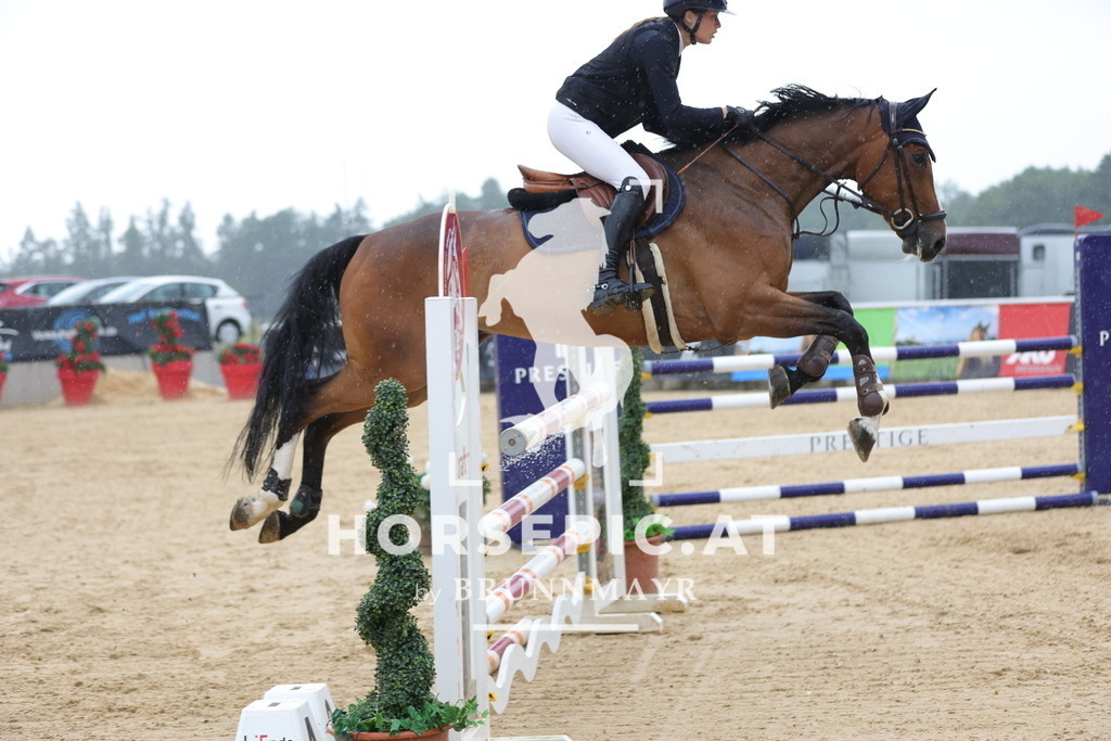 0P6A2440 | Willkommen bei Brunnmayr - Design & Fotografie – Ihrem Spezialisten für Reitturniere und Pferdeveranstaltungen in Oberösterreich, Salzburg und Bayern! Seit über 17 Jahren sind wir leidenschaftlich dabei.