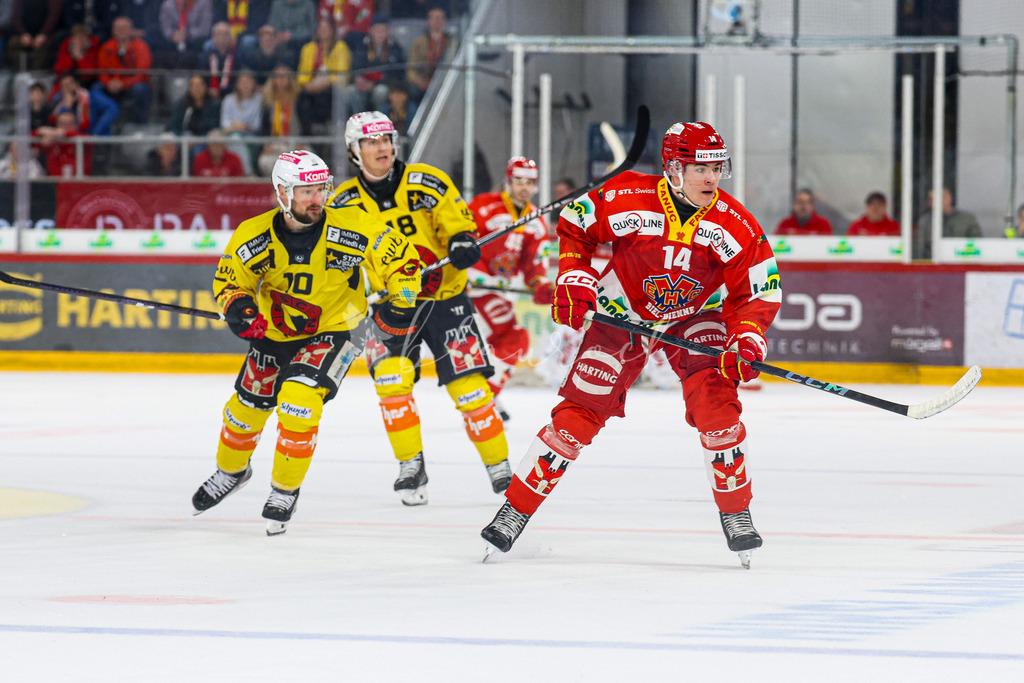 EHCB vs SCB 20260312_wb-4420 | Sportbilder, Sportfotograf, Hochzeits- und Eventfotografin, Flugshows, Portraits und Tiershooting, Aviation, Downhill, Nationalleague, Swissleague, International