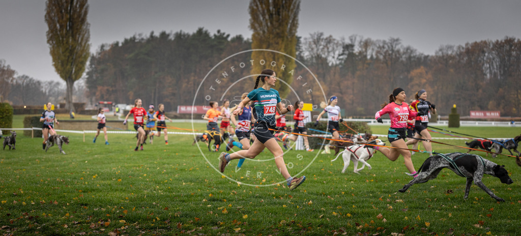 CaniXpix_DV3A8804 | Hundefotografie, Tierfotograf, Pfotenfotografie, Fotoshooting Hund, Hunde Portrait, Hundesport, Hundeportraits, Heideshooting, Hunde, Sportfotograf, Hundefotograf, Turnierhundsport, THS,  - Realisiert mit Pictrs.com