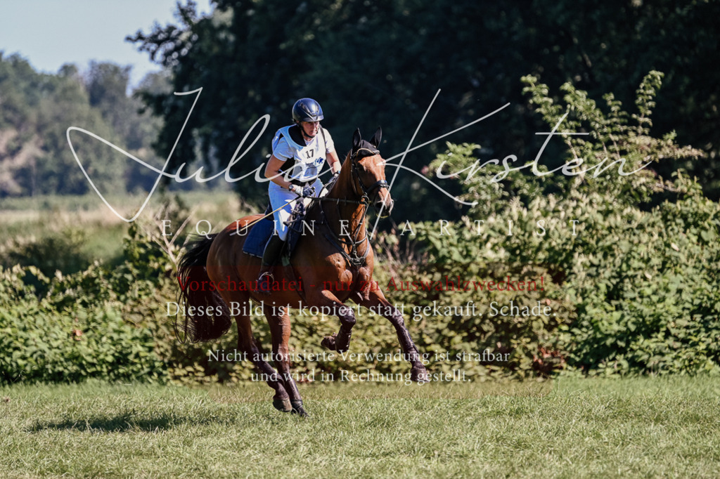 DSC_2005 | Pferde- und Turnierfotografie in Westsachsen. Pferdeportraits, Auftragszeichnungen und intuitive Kunst.