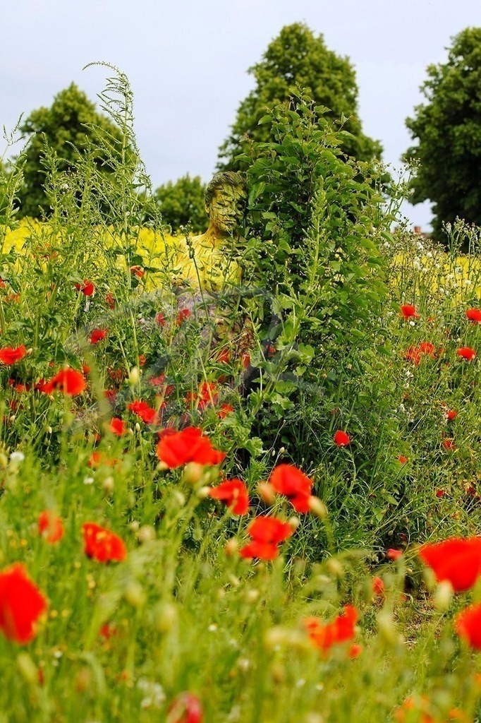 NatureArt-FLOWERMIX_8954 | Zwischen Mohn und Raps | #001 | Modell: Alena | Foto: Tschiponnique Skupin - Realisiert mit Pictrs.com