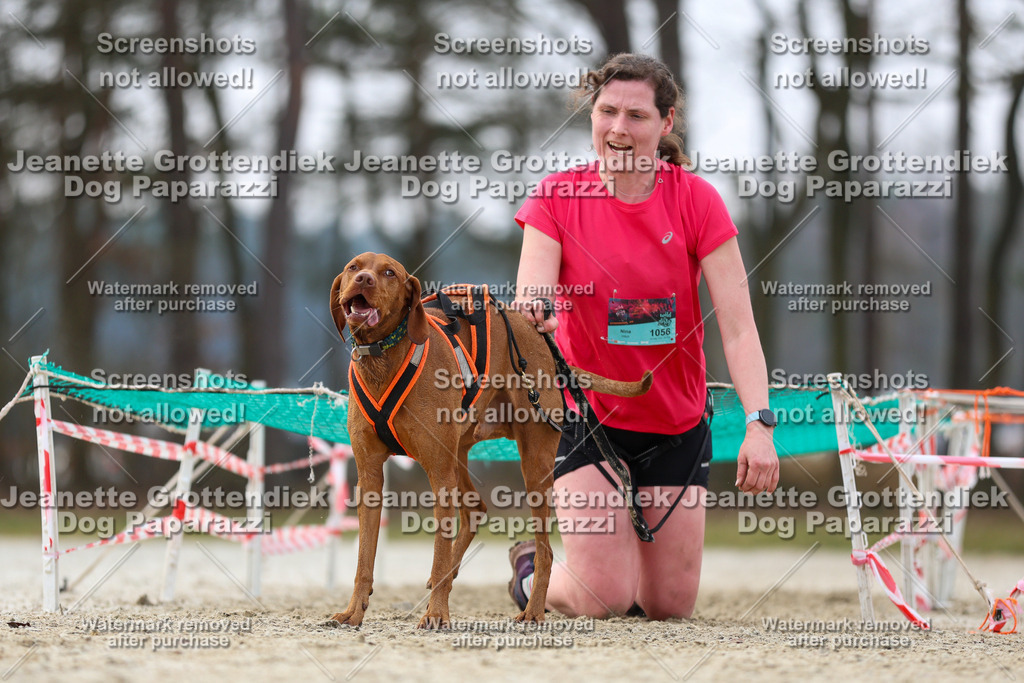 Dog Paparazzi - Strongdog North Mrz26-4638 | Dog Paparazzi Jeanette Grottendiek Fotografie & Videografie - Realisiert mit Pictrs.com