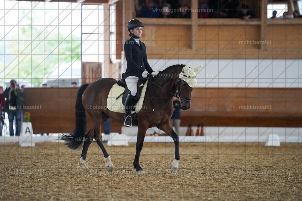 20240825-FAH09509 | Turnierbilder, Reitsportfotos, LAPO, Landesponyturnier, Turnierfotografen Bayern