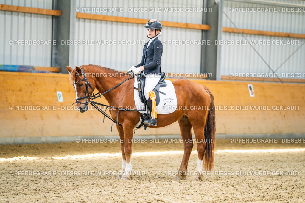 DSC03087 | Pferdegrafie