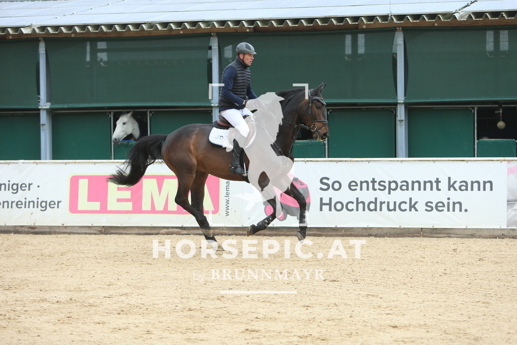 DL2Q8882 | Willkommen bei Brunnmayr - Design & Fotografie – Ihrem Spezialisten für Reitturniere und Pferdeveranstaltungen in Oberösterreich, Salzburg und Bayern! Seit über 17 Jahren sind wir leidenschaftlich dabei.