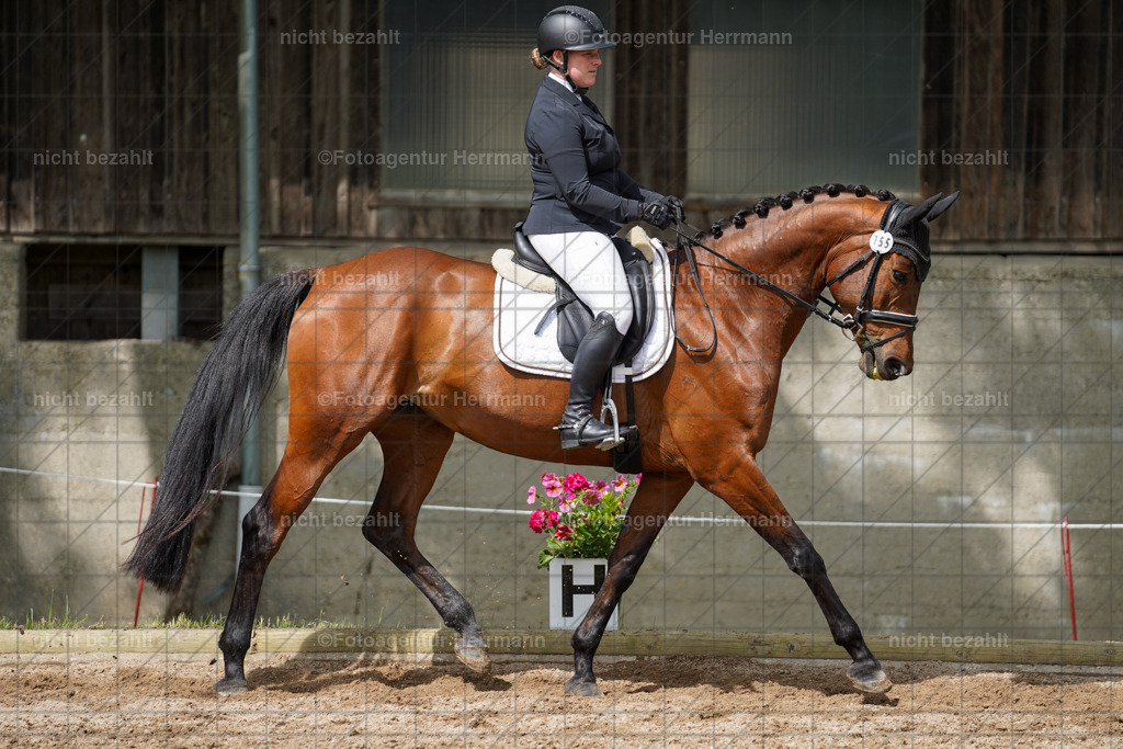 20240519-FAH04918 | Turnierbilder Niederseeon 2024, Vielseitigkeitsdressur, Reitsportbilder aus dem Landkreit Ebersberg, Gut Steinsee, RC Steinsee, Fotoagentur Herrmann