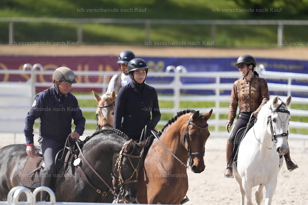 PI26_COW_Stoibphotography_DSC5266.JPG | working equitationturnier fotograf videograf stoibphotography marixx film working equitation deutschland reitsport turnierfotografie eventfotografie equestrian events
