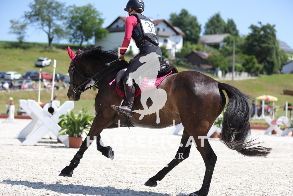 0P6A3858 | Willkommen bei Brunnmayr - Design & Fotografie – Ihrem Spezialisten für Reitturniere und Pferdeveranstaltungen in Oberösterreich, Salzburg und Bayern! Seit über 17 Jahren sind wir leidenschaftlich dabei.